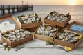 oyster packages
